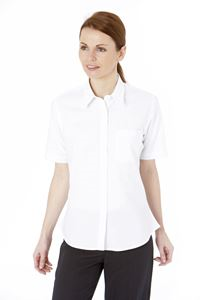 Ladies Short-Sleeved Oxford Blouse SH8717