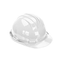 Climax Safety Helmet 5-RS CASCO HP0062
