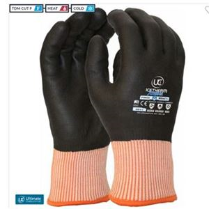 Icetherm Extreme Gloves Cut F GL6274